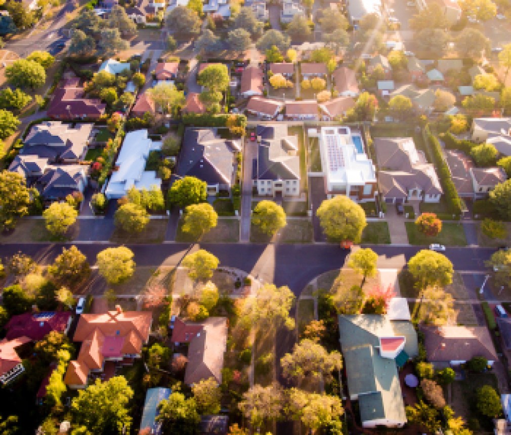 Aerial view of a green leafy suburb