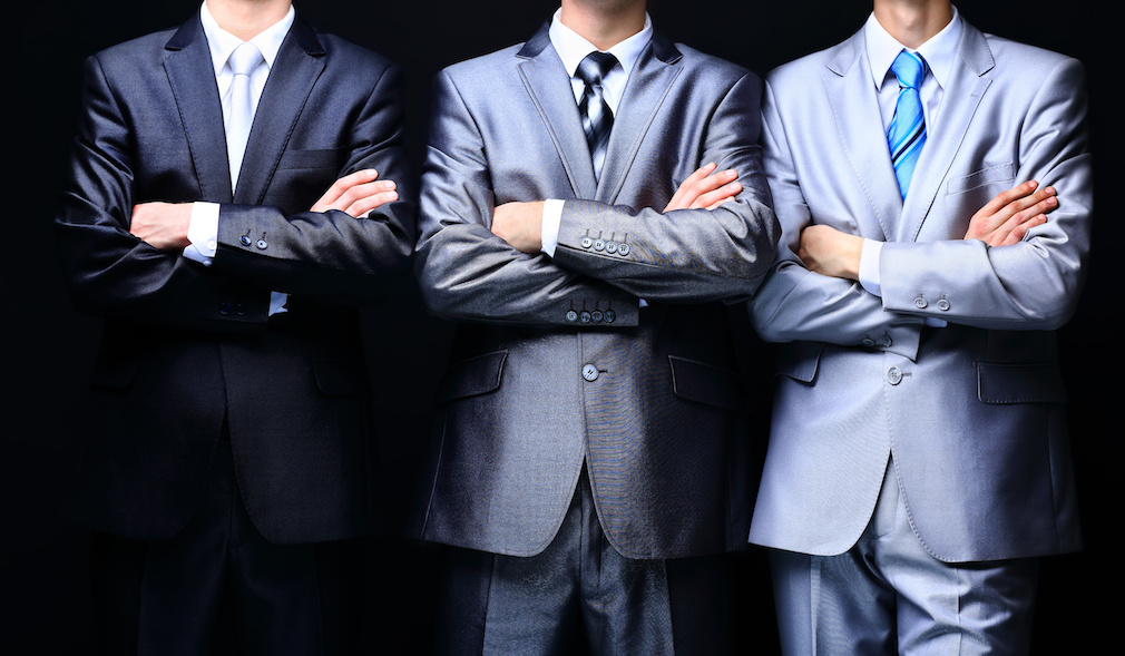 Group portrait of a professional business team