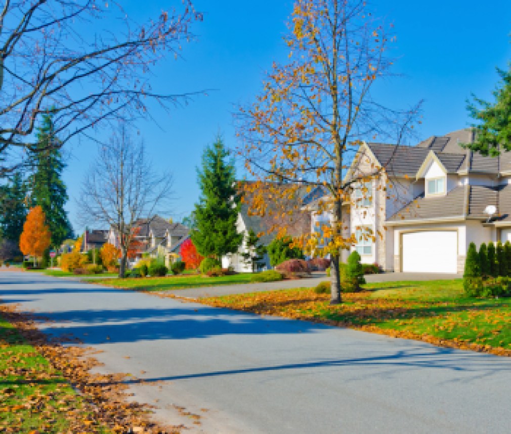 FallHousesNeighborhood