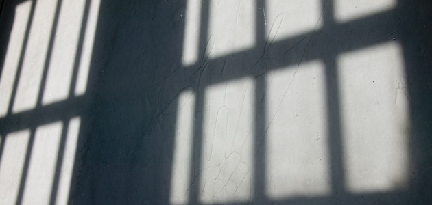 Prison-bars