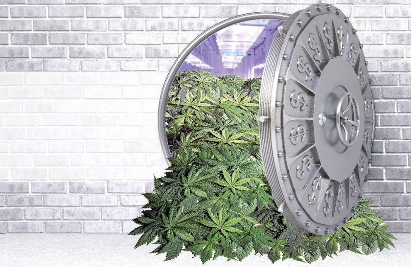 Weed-Feature-resize