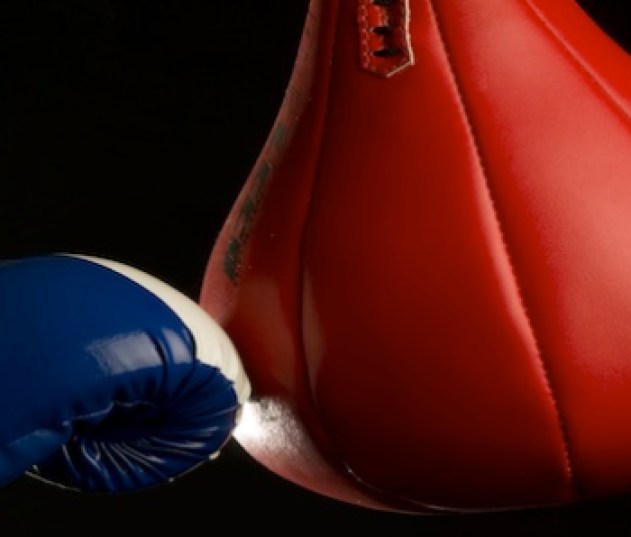 boxing_punchingbag
