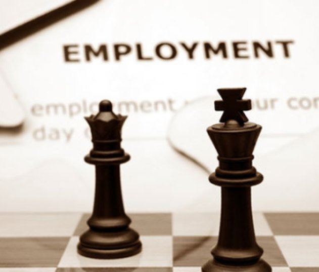 employment