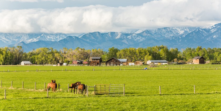 rural_housing_montana
