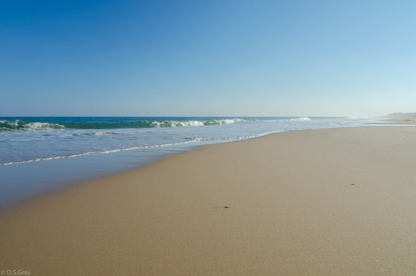 sag-main-beach-labeled-for-reuse