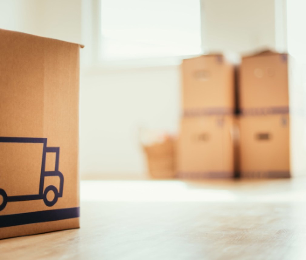 Neue, helle Wohnung mit Umzugskartons, viel Sonnenlicht und Holzboden