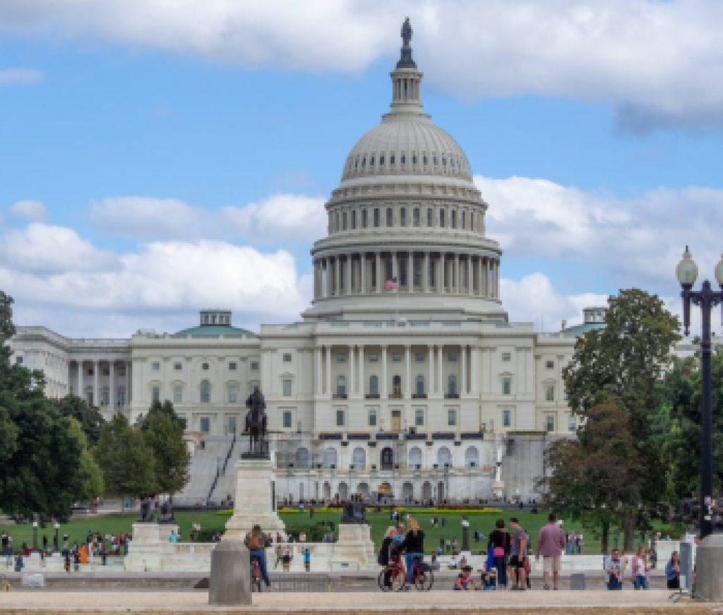 Washington DC, District of Columbia [ United States US Capitol Building, architecture detail ]