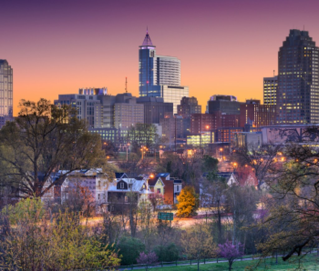 Raleigh North Carolina Skyline