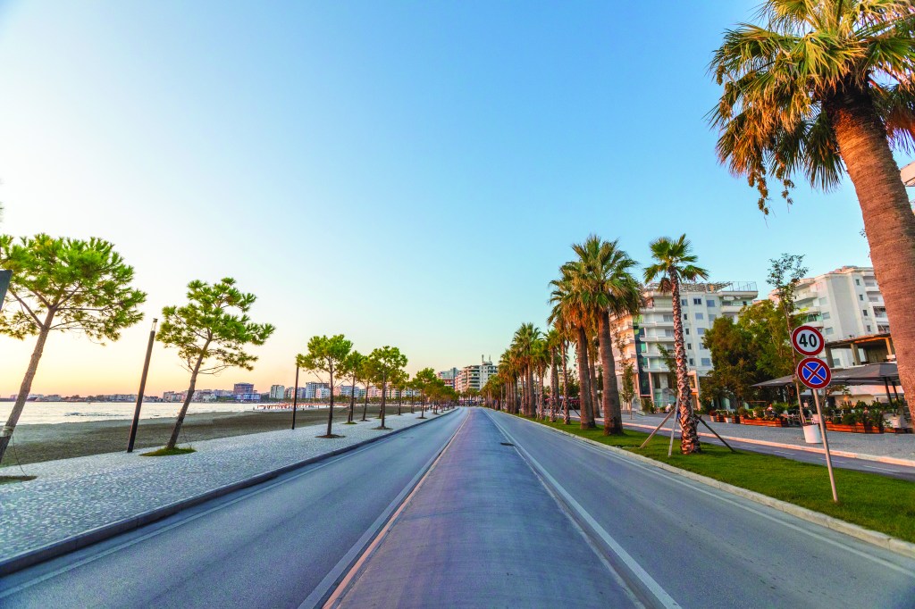 Road and street with palm trees.