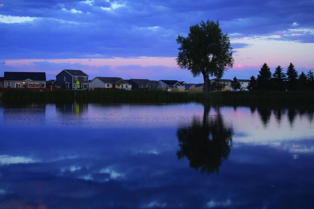 Reflection of a tree and the sky just after sunset in the water