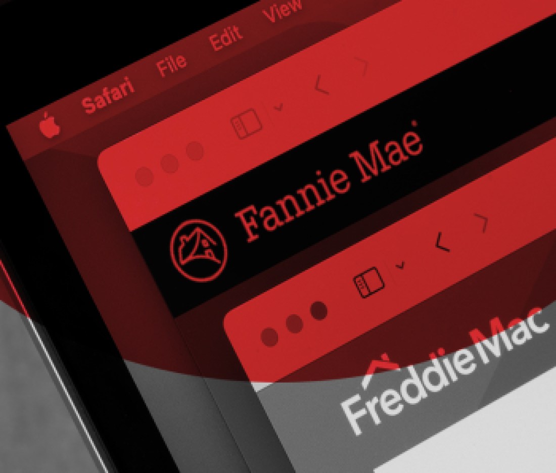 Fannie Mae and Freddie Mac, GSE