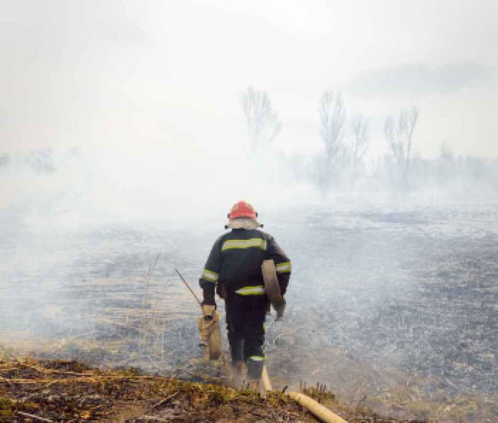 Wildfires firefighter smoke