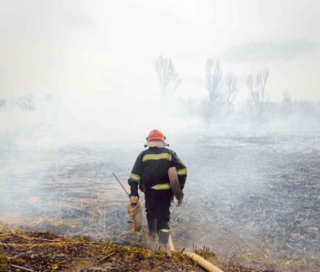 Wildfires firefighter smoke