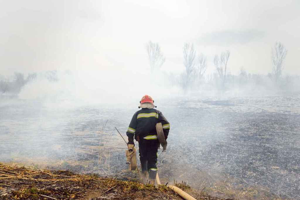 Wildfires firefighter smoke