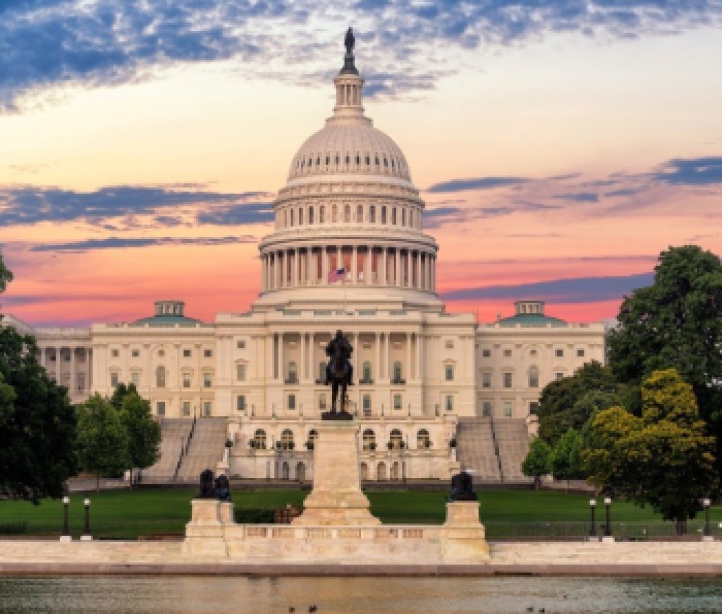 DC Capitol 3