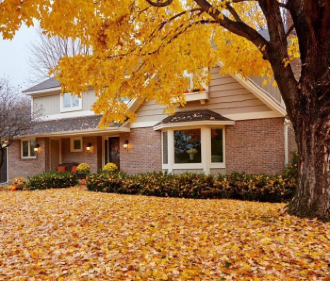 Houses-Individual, Seasonal 6