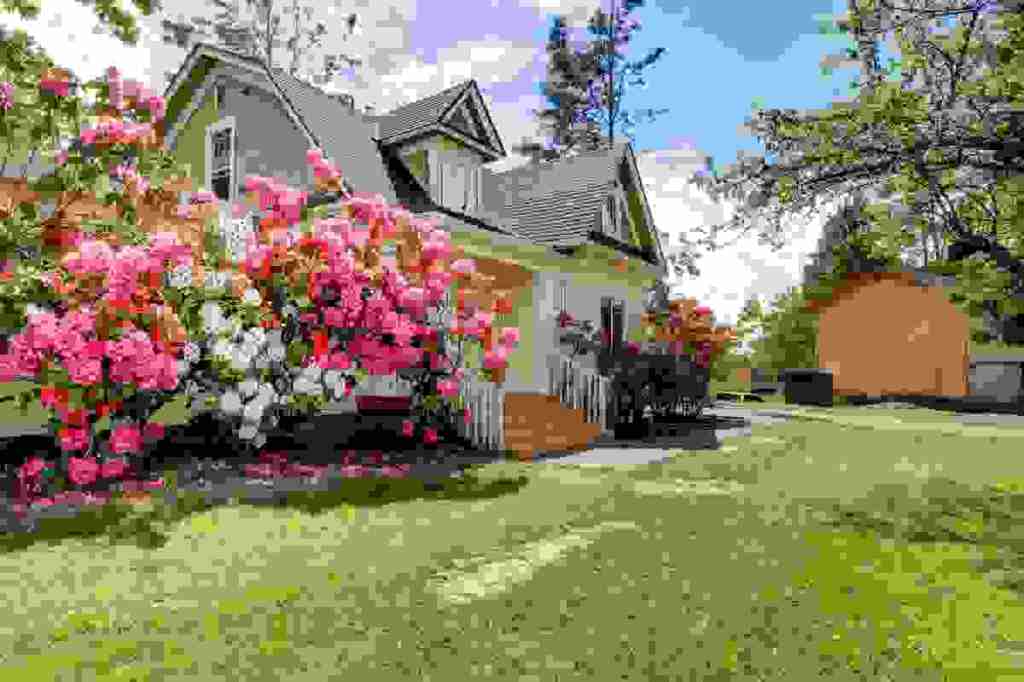 House with spring bushes