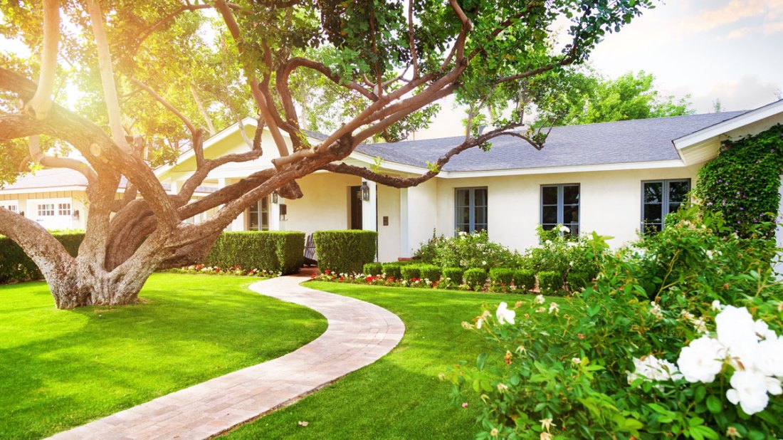 HousingWire-Home-with-Tree
