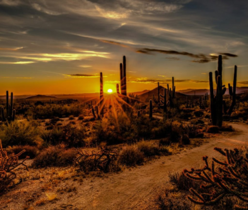 scottsdaledesert_unsplash