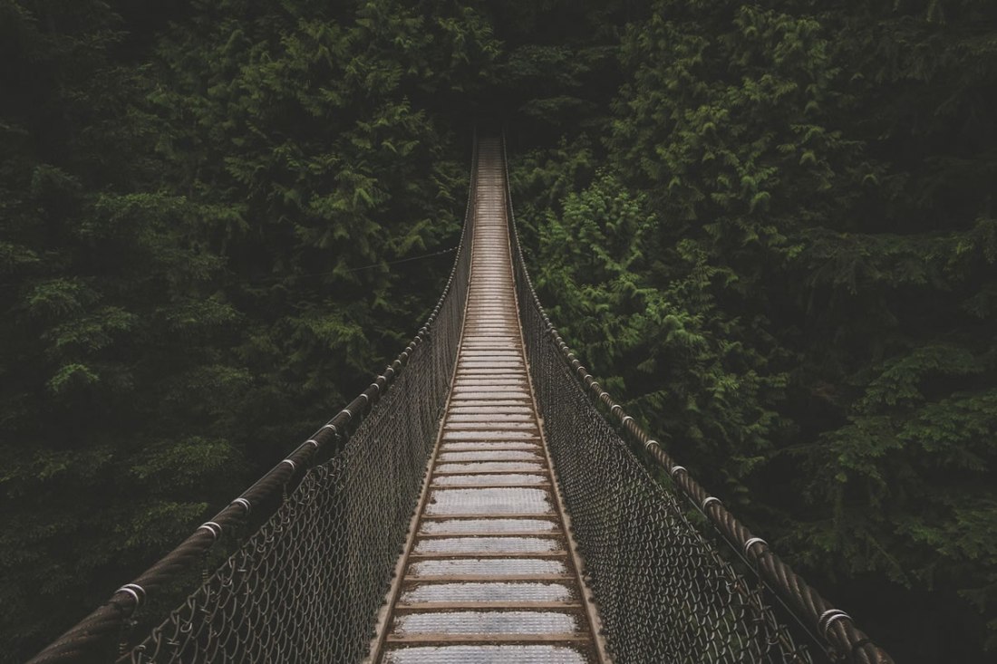 bridge_unsplash