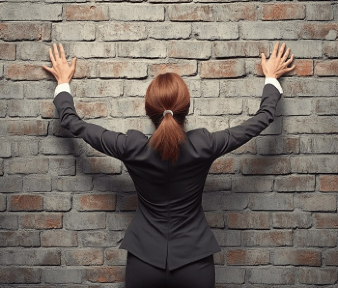 u8582458568_female_real_estate_agent_tries_to_climb_brick_wal_b265d10f-07b3-4e6c-8895-551776ac78bb_2-min