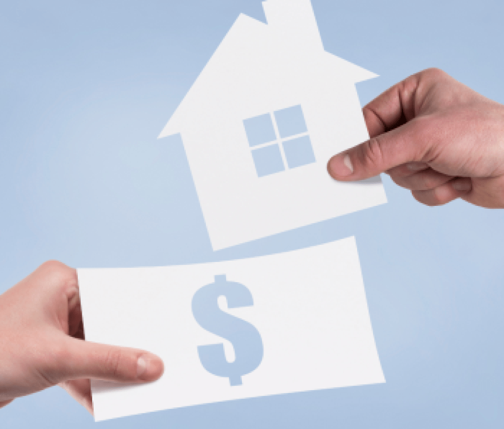 Contributor's Piece (6)