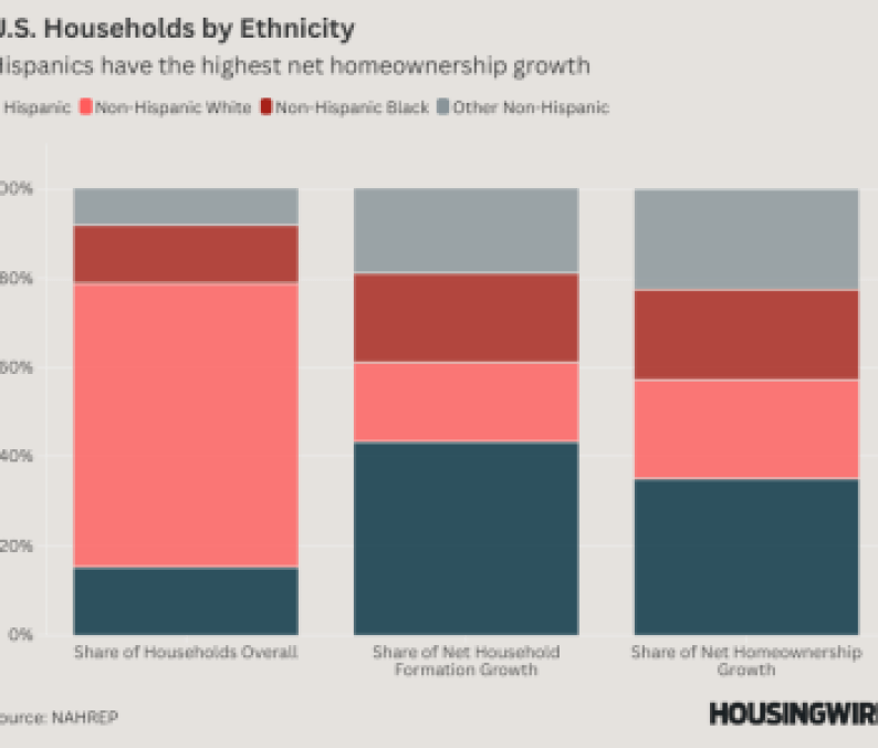 Household demographics by ethnicity