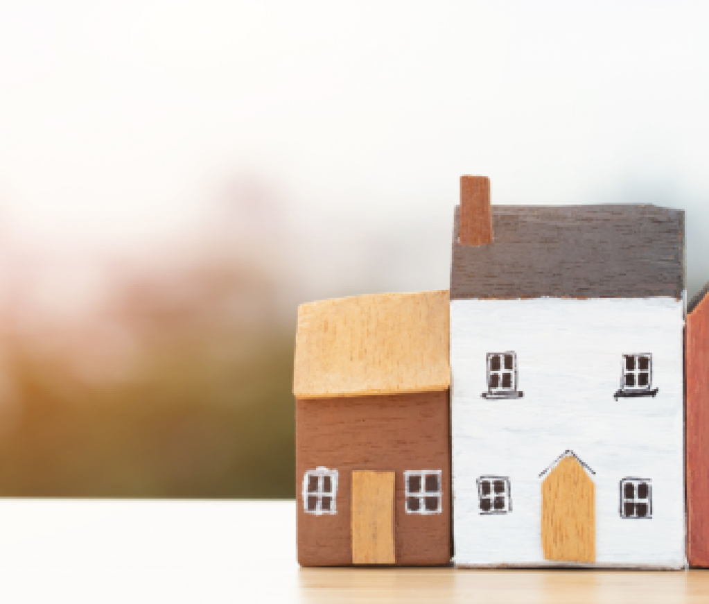 Contributor's Piece (29)