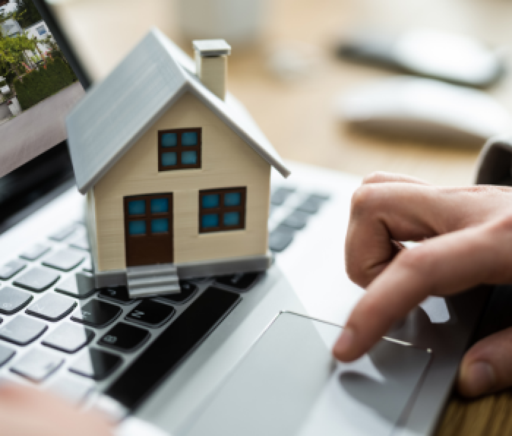 Contributor's Piece (30)