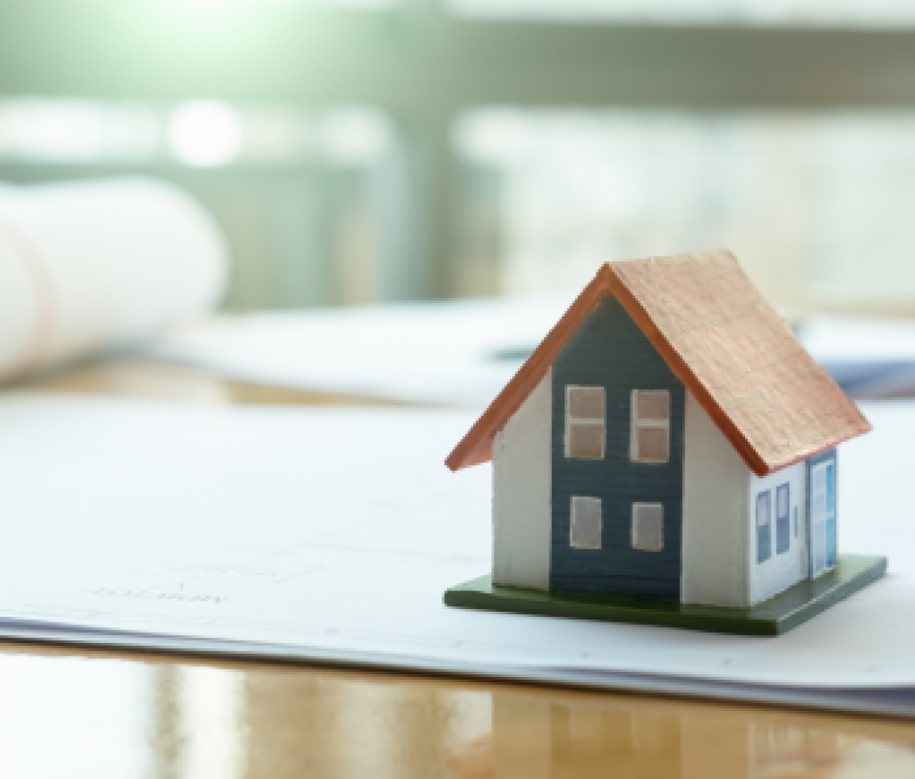 Contributor's Piece (53)