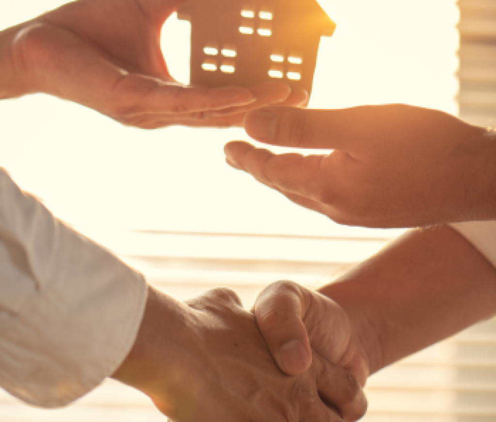 Contributor's Piece (59)