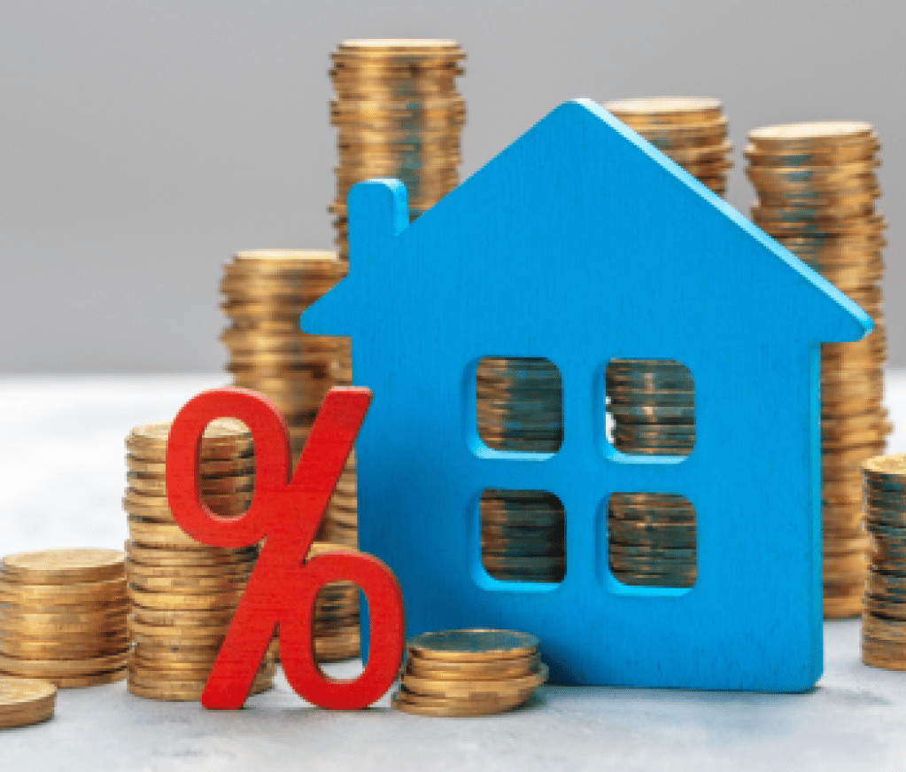 Contributor's Piece (64)