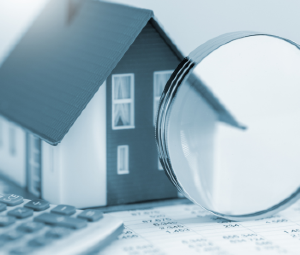 Contributor's Piece (3)