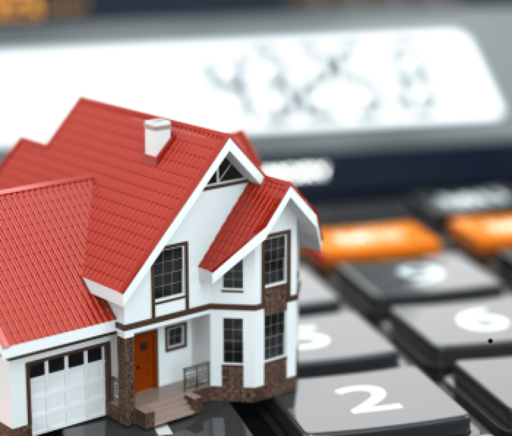 Contributor's Piece (4)