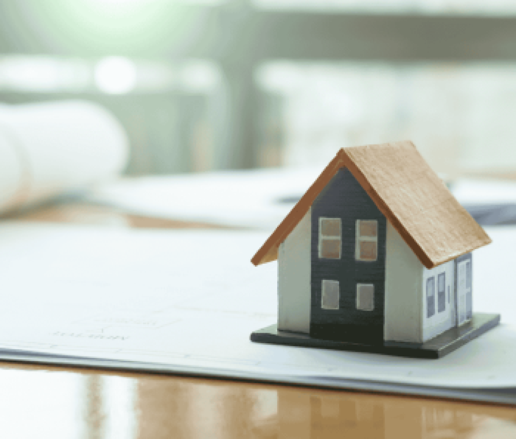 Contributor's Piece (21)