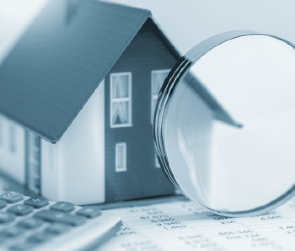 Contributor's Piece (33)