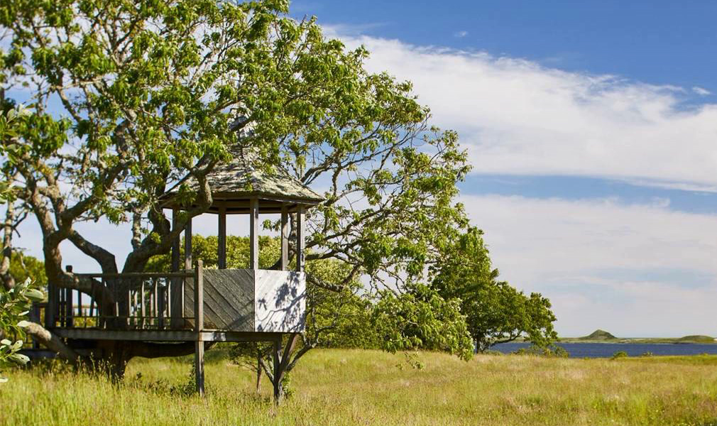 fairy tree house at Red Gate Farm